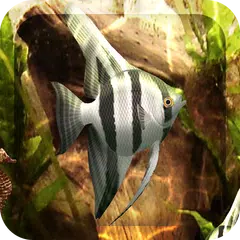 3D清新水族館動態桌布－逼真的熱帶魚&海馬高清水族館動態桌布 APK 下載