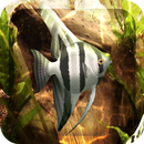 HD Aquarium Live Wallpaper 3D APK