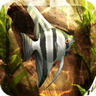 HD Aquarium Live Wallpaper 3D icon