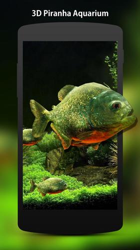 3d Fish Aquarium For Android Apk Download