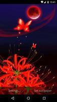 3D Butterfly Cartaz