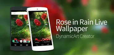 Red Rose Flower Live Wallpaper