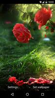 Red Rose โปสเตอร์