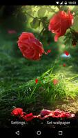 Red Rose ภาพหน้าจอ 1