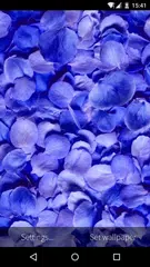 Baixar Flower Petals 3D Wallpaper HD APK