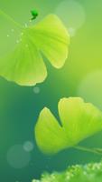 Green Apricot Leaf Affiche