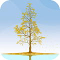 Ginkgo Tree Live Wallpaper
