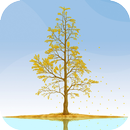 Ginkgo Tree Live Wallpaper APK