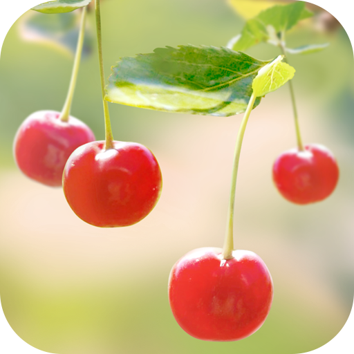 Sweet Cherry Live Wallpaper