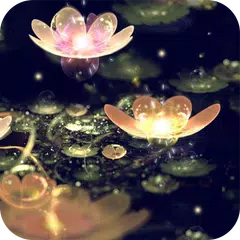 Lotus Lantern Live Wallpaper APK download