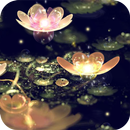 Lotus Lantern Live Wallpaper APK