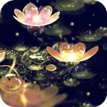 Lotus Lantern Live Wallpaper