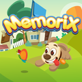Memorix