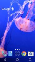 Incroyable Jellyfish Live capture d'écran 2