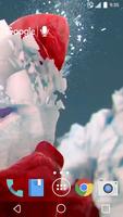 Amazing Ice Live Wallpaper poster