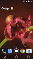 Blooming Orchid Live Wallpaper स्क्रीनशॉट 2