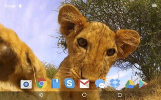 Little Lion Cub Live Wallpaper Ekran Görüntüsü 3