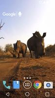 Rhino Kiss Live Wallpaper पोस्टर