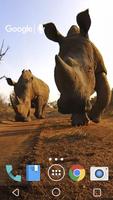 Rhino Kiss Live Wallpaper स्क्रीनशॉट 1