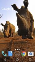 Rhino Kiss Live Wallpaper स्क्रीनशॉट 2