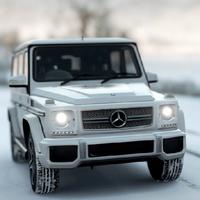 G65 Parking Master اسکرین شاٹ 3