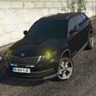 Skoda Kodiaq: Parking Master Zeichen