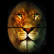 Jungle Lion Hunting 2020