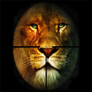 Jungle Lion Hunting 2020 APK