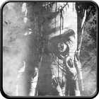 Zombie Hunt 3D ícone