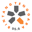 Bintangtenggara 95,6 FM