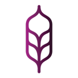 Radio MASS FM 88.00 MHz