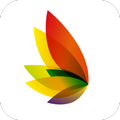 iBird
