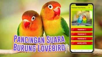 Pancingan Suara Burung Lovebird plakat