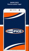 Radio Pico Affiche
