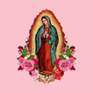 Virgen de Guadalupe Wallpaper 圖標