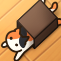Cats n' Boxes