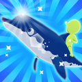 Dolphin Riders