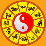 Xem Tuổi Hợp ícone