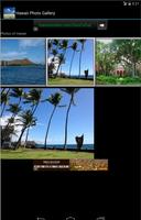 Hawaii Photo Gallery poster