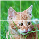 Cats Puzzle আইকন