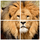Wild Animals Puzzle ikona