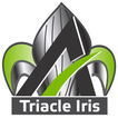 ”Triacle Iris