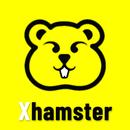 Live Video Chat - Xhamster APK