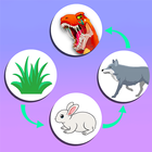 Food Web Merge icon