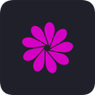 FOLOVE VIDEO