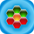 Polygon Puzzle