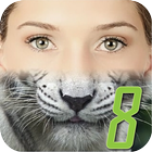 Smart Morph simgesi