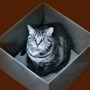Picture 3D Maker APK