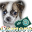 Собака камеры APK