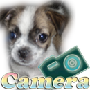 Camera Dog APK